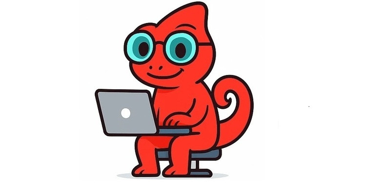 Rdeč Kameleon Izdelava spletnih strani, spletnih trgovin, B2B portalov - Maribor, Slovenija